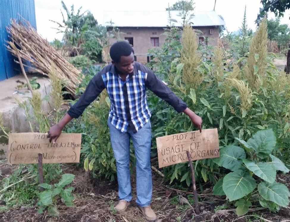 African farmers working in a field